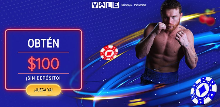 Casino Vale İncelemesi: Dil Seçenekleri